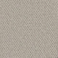 Cormar Carpet Primo Textures Moon Mist