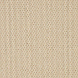 Cormar Carpet Primo Textures River Cane