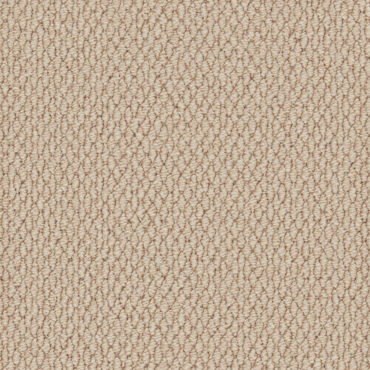 Cormar Carpet Primo Textures Tapestry