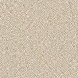 Cormar Carpet Primo Ultra Nougat