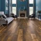 Karndean-Art-Select-Wood-Handcrafted-Reclaimed-Chestnut-RoomS2