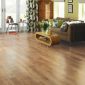 Karndean Art Select Oak Royale Spring Oak