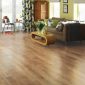 Karndean Art Select Oak Royale Spring Oak
