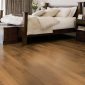 Karndean Art Select Oak Royale Summer Oak