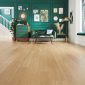 Karndean-Van-Gogh-Natural-Prime-Oak-RoomS