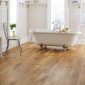 Karndean Van Gogh Wood Auckland Oak