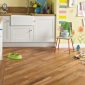 Karndean Van Gogh Rigid Core Classic Oak