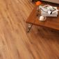 hc02-morning-oak-apartment-cameo-2