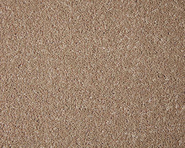 Cormar Carpet Primo Grande Lynx