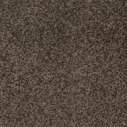 Victoria Carpets Aura Teddy