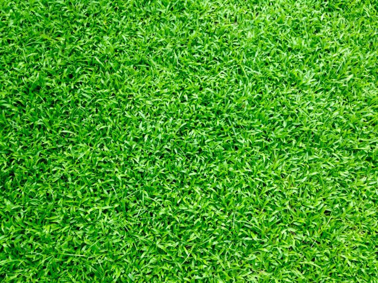 How to Lay Artificial Grass Like a Pro Complete Guide