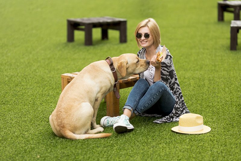 A Buyer’s Guide to Choose the Best Artificial Grass for Dogs