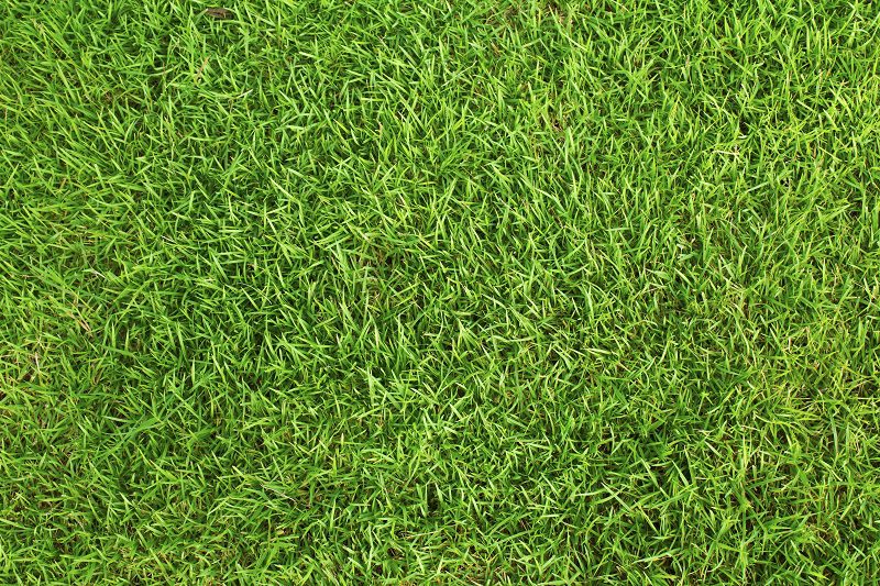 Learn How to Install Artificial Grass on Dirt Like a Pro