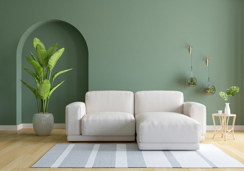 What Colour Carpet Goes With Green Walls? An Array of Options For You
