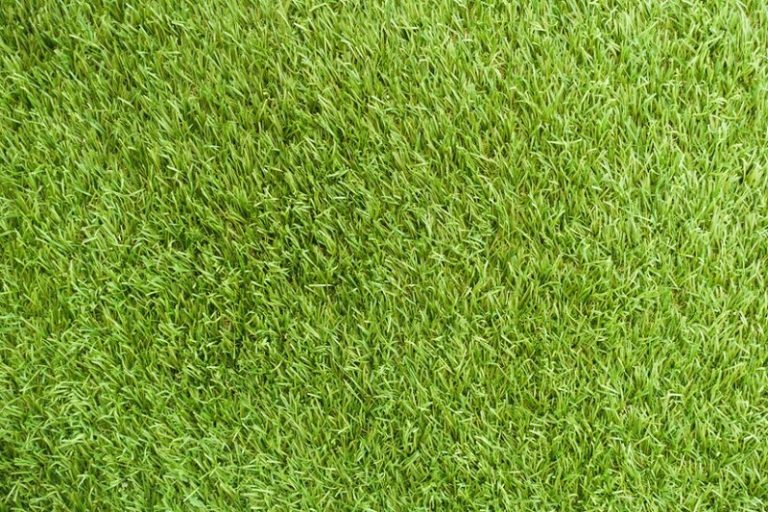 what to put under artificial grass for drainage