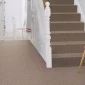 alternative-flooring-wool-berber-palau-room