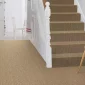 alternative-flooring-wool-berber-tawny-room