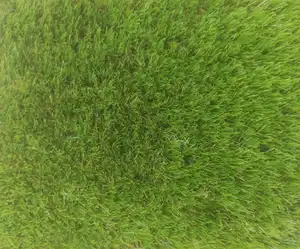 how long does artificial grass last