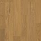 Light chestnut oak extra matt6