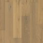 Mustard oak extra matt5
