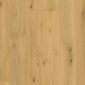 Pure oak extra matt5