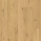 Pure oak extra matt8