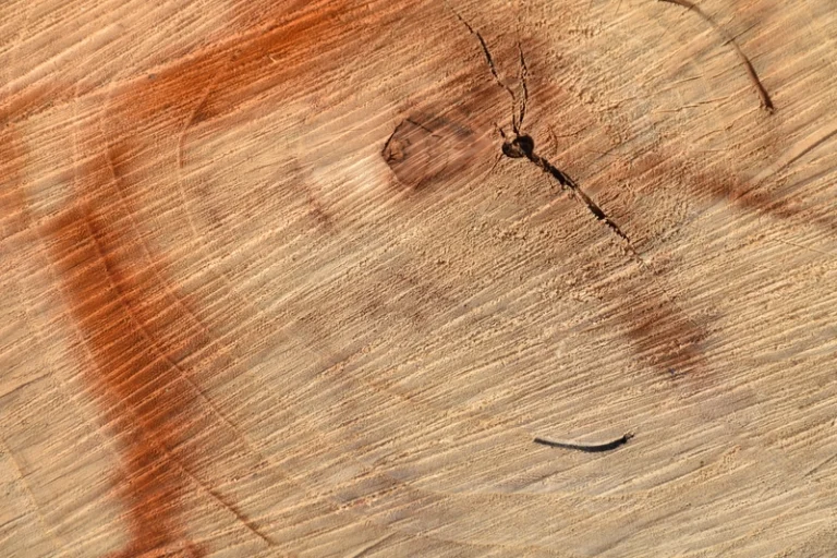 does wood flooring scratch easily