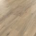 Canadian Urban Oak3