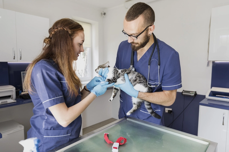 flooring for veterinary clinics