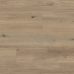 vgw8116-canadianurbanoak-oh_cm