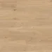 vgw8117-canadiannudeoak-oh_cm