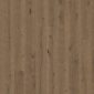 Quickstep Hardwood Massimo Dark Chocolate Oak Extra Matt Oiled