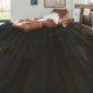 Midnight oak oiled