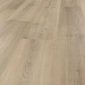 Naked Blond Oak 02