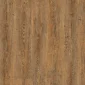 Wild Amber Oak1