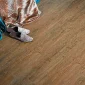 Wild Amber Oak4