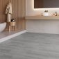 DTIS5A_95_WETROOM