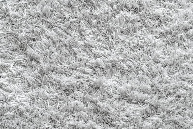 light grey carpets