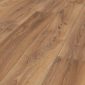 14104-02_Royal Oak_1285x192_persp