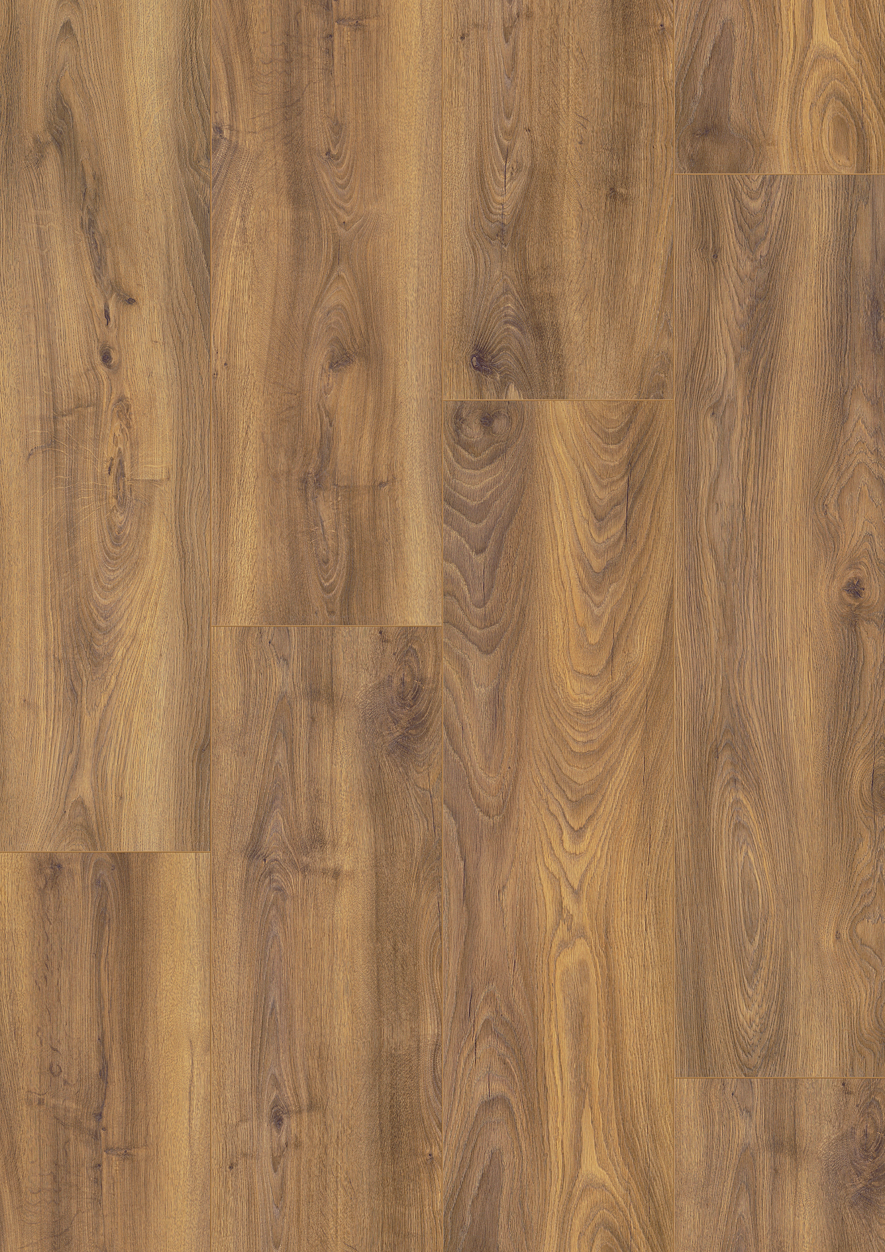 Montique 12mm Exquisite Heritage Oak Laminate Flooring - Image 2