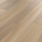dune-oak--rl24--a_cm