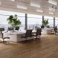 Magnus-Wide-Plank-Office-CGI