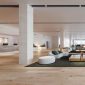 Newman-Wide-Plank-Lobby-CGI