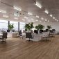 Shepherd-Wide-Plank-Office-CGI