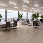 Wyld-Wide-Plank-Office-CGI