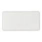 fired_earth_architecture_white_gloss_200mm_x_100mm_plank1