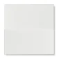 fired_earth_architecture_white_gloss_200mm_x_100mm_plank2