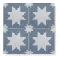 fired_earth_bert_&_may_blue_pradena_porcelain_plank2