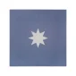 fired_earth_bert_&_may_navy_luna_porcelain_plank1