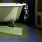 fired_earth_bert_&_may_navy_porcelain_plain_tile_rooms1
